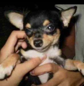 Meet your Posher, Tim